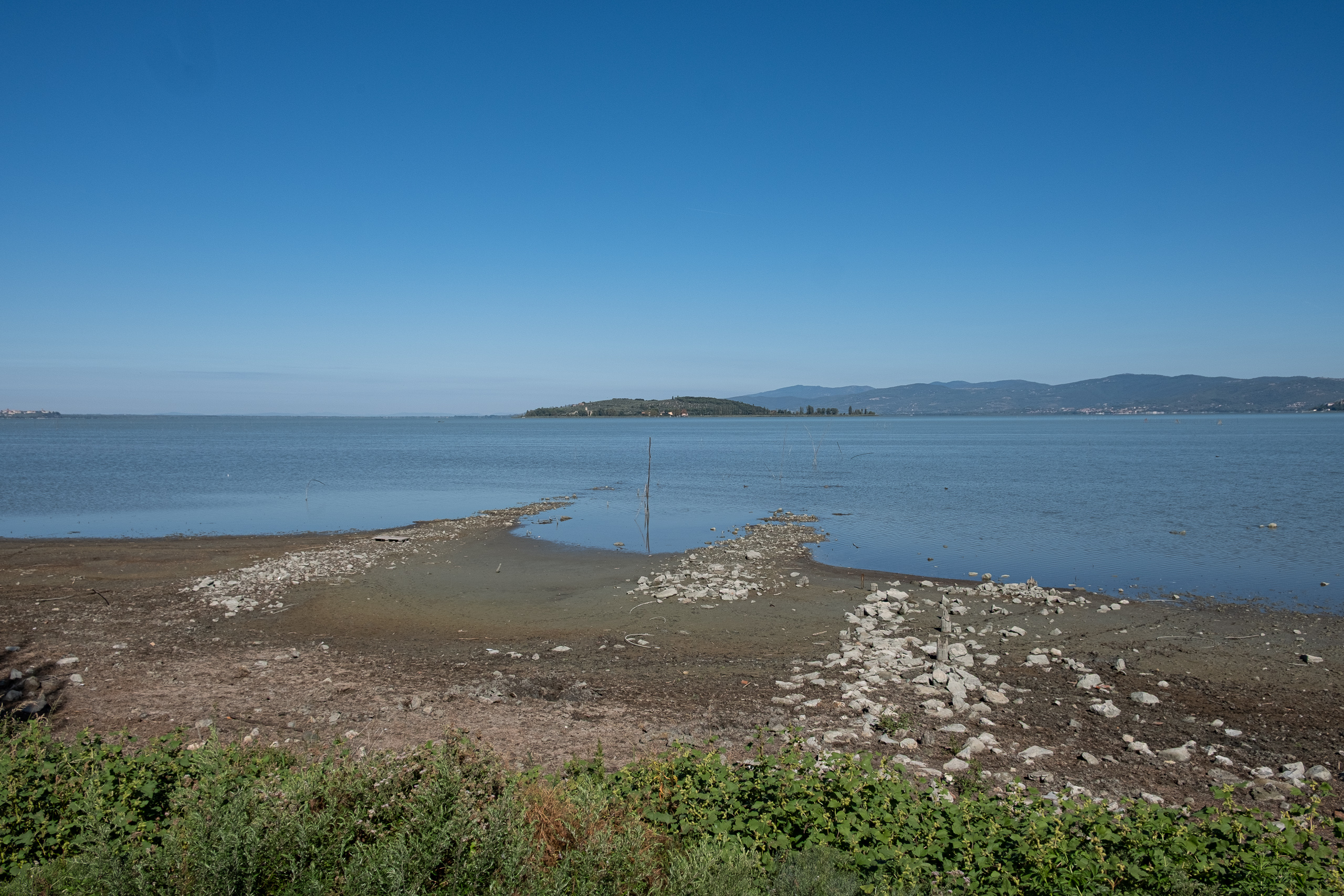 Niedriger Wasserstand – Ufer mit freiliegenden Steinen und Schlamm
